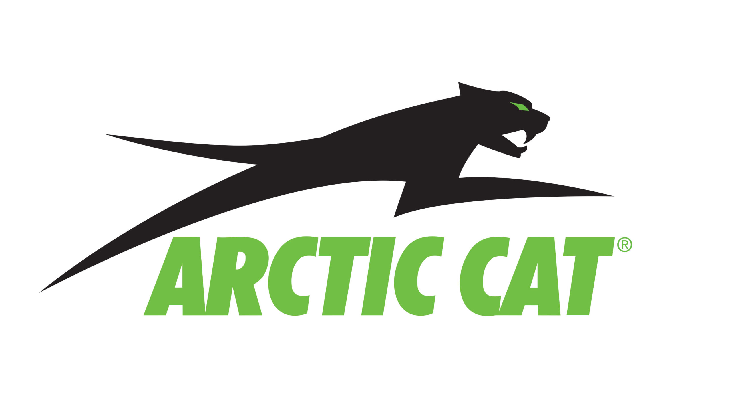 arctic cat scaled 1