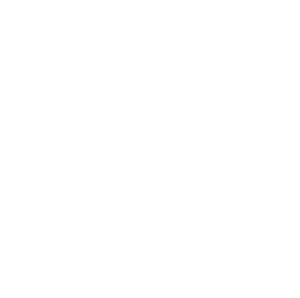 OBD Loading 300x298 1